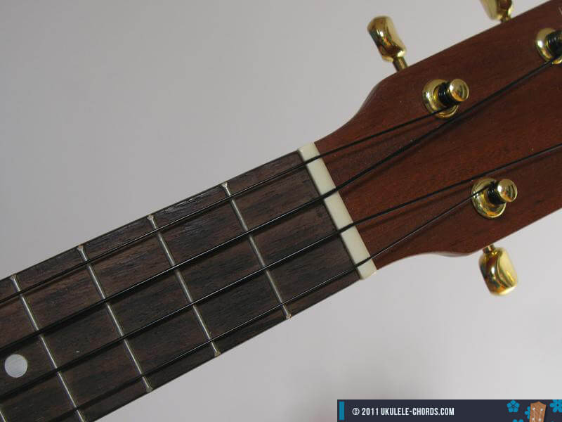 Am7 Ukulele Chord