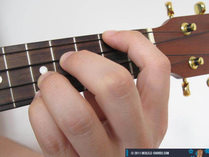 Asus Ukulele